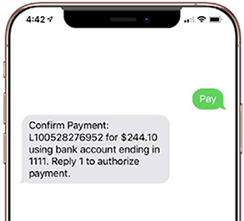 text-pay