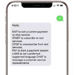 text-pay